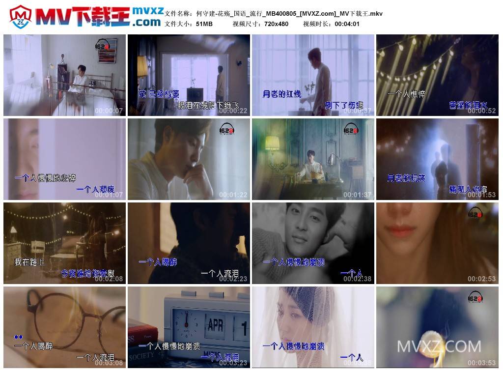 何守建-花殇_国语_流行_MB400805